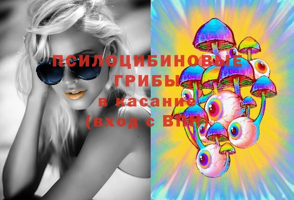 ГАЛЛЮЦИНОГЕННЫЕ ГРИБЫ Алексин