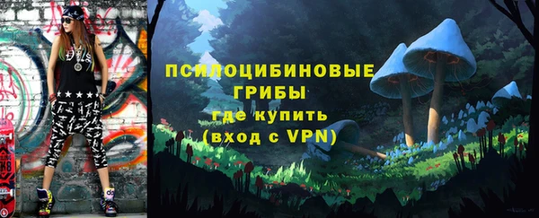 гашик Абаза