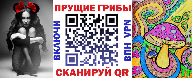 Галлюциногенные грибы Cubensis  что такое   Элиста 